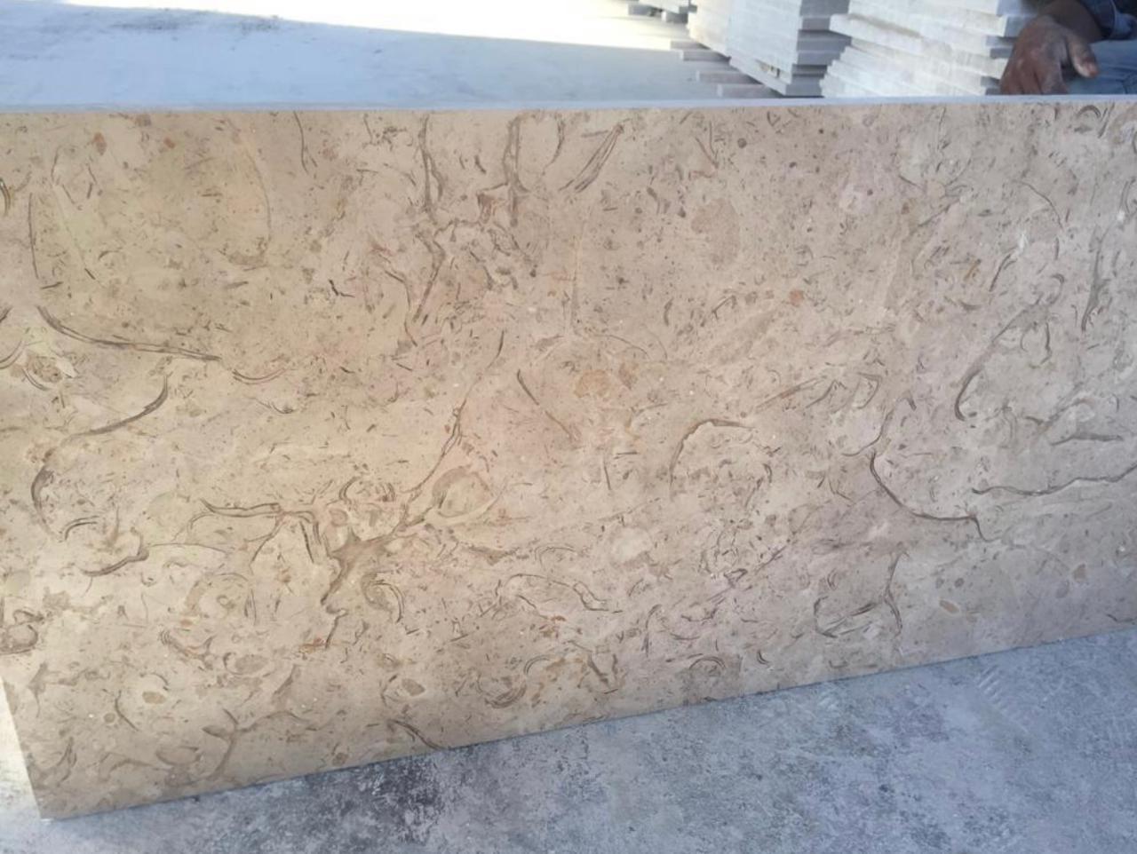 Marmotech Italia - 20